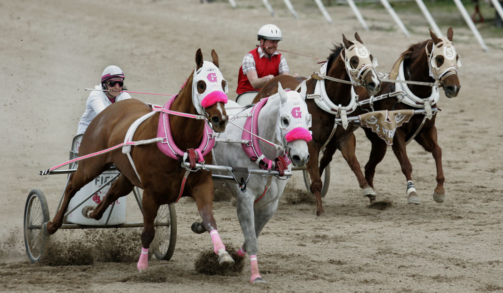 Northern Utah Living: Places to go, things to do (Jan. 24-Feb. 1)